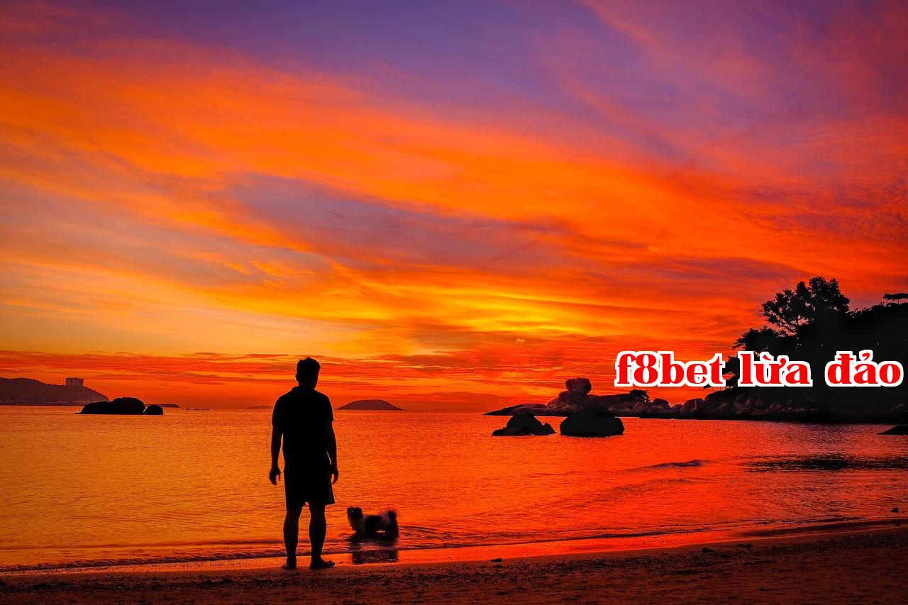 Featured image of post bb5b4b3f5bd080f0 - f88 bóng đá