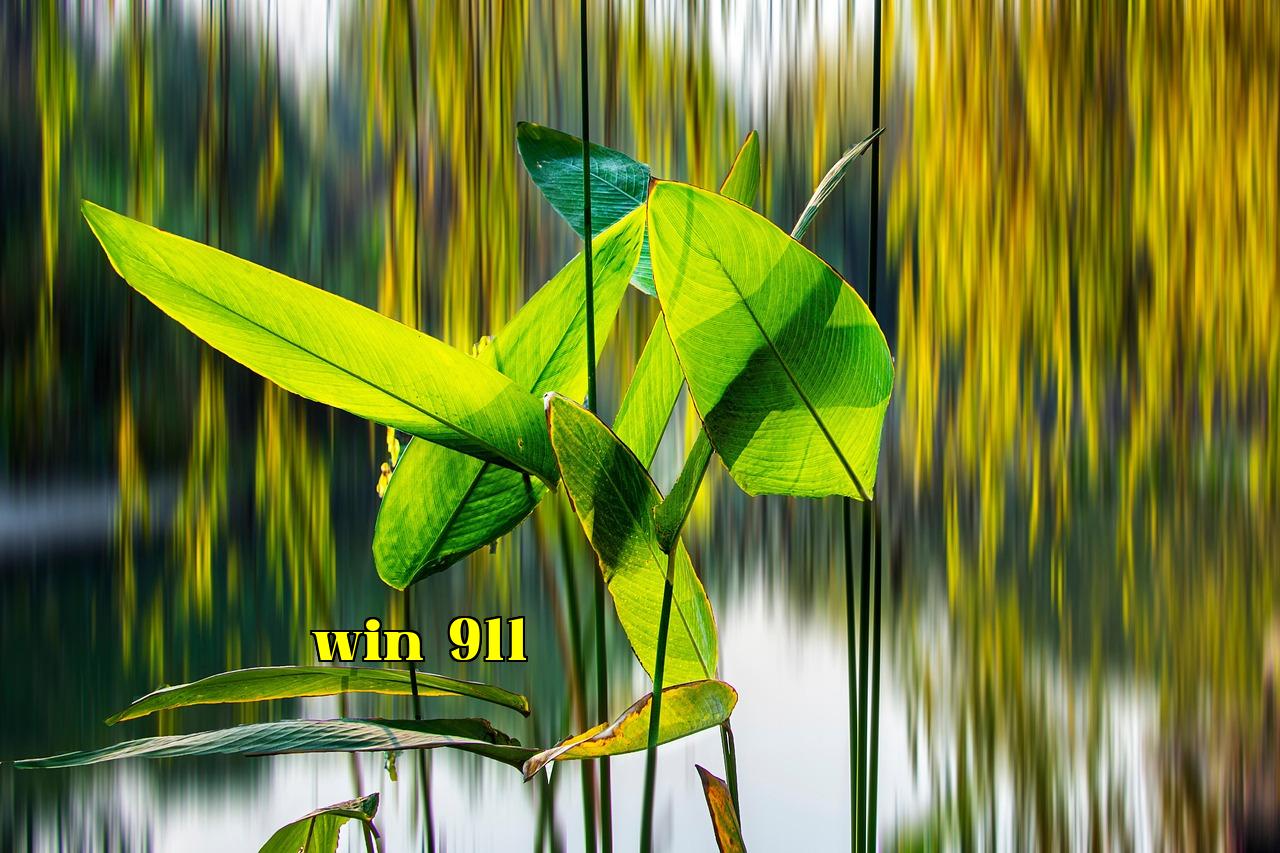 Featured image of post Hình ảnh minh họa(feeds.pubthemes) - win88 nổ hũ