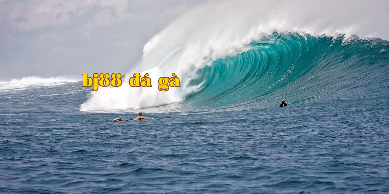 Featured image of post 1f7873f3dc7d4a4d - s6666 đăng nhập