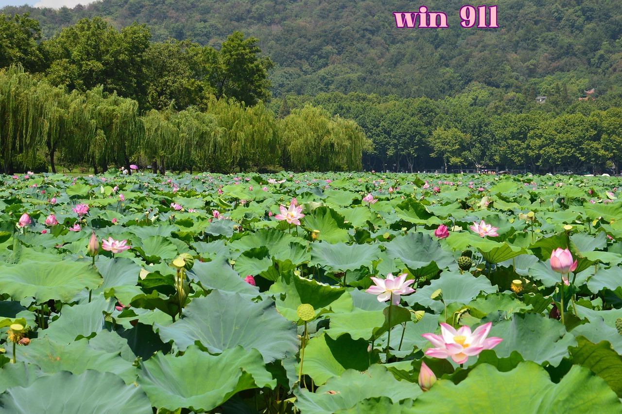 Featured image of post 95b2257b83bd07a7 - s6666 đăng nhập